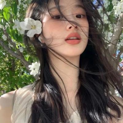 汽车女窃贼