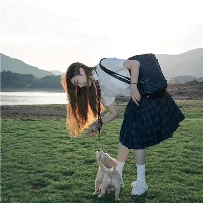 狗狗的旅程
